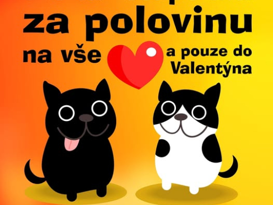1+2. vstupenka za polovinu - do Valentýna